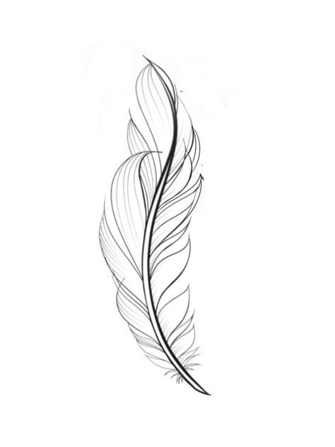 Feather Tattoo, Tattoos, Drawings