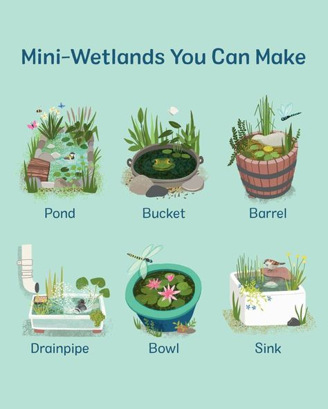 Wildlife Pond, Backyard Landscaping Ideas, Diy Garden Projects, Pretty Plants, Plant Mom, Small Backyard Landscaping, Permaculture, Dream Garden, Ideas Photo