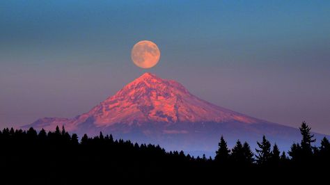 J Shimya posted this picture to National Geographic's Your Shot photo community. Check it out, add a comment, share it, and more. Mt Hood Oregon, Full Moon Rising, Mont Fuji, Mount Hood, Mt Hood, Moon Rise, The Full Moon, Beautiful Moon, Blood Moon