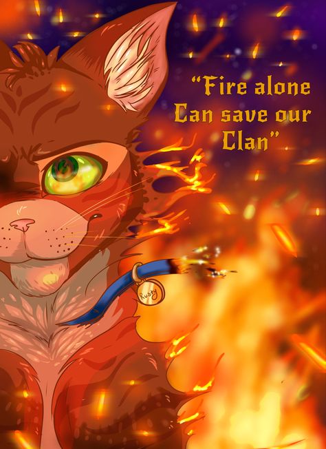 Warrior cats fan art Warrior Cats Fan Art, Warrior Cat, Warrior Cats, Fan Art, Fan, Art