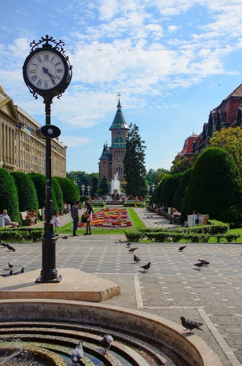 Timisoara, Romania – A Budget and Family-Friendly Destination | CheeseWeb Timisoara Romania, Visit Romania, Romania Travel, Sweden Travel, London Pubs, Mall Of America, Lovely Places, Bucharest Romania, Slow Travel