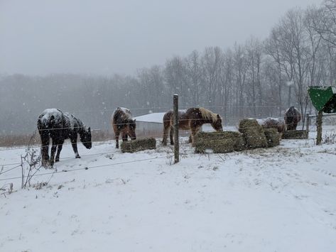 Dinner and some snow Snowy Farm, Ranch Aesthetic, Farm Ranch, Food Clothes, Snowy Winter, Country Farm, Winter Aesthetic, Winter Travel, The Ranch