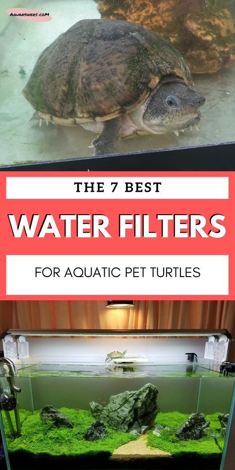 Keep the water in your turtle tank pristine with a reliable filter in place! Learn why the canister type would provide the best filtration for your aquatic pet and check out 7 product ideas in this article! Aquatic Turtle Tank, Turtle Tank Setup, 55 Gallon Tank, Best Filters, Turtle Aquarium, Turtle Habitat, Saltwater Fish Tanks, Diy Fish Tank, Best Water Filter