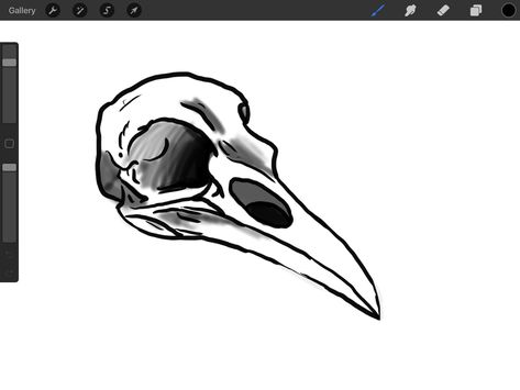 Animal Skull Drawing, Animal Skull, Bird Skull, Skull Drawing, Art Things, Books Art, Human Skull, Birds Tattoo, Animal Skulls