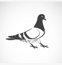 Pigeon character Royalty Free Vector Image - VectorStock Pigeon Vector, Pigeon Character, Pigeon Design, Bird Icon, Sketch Art, Drawing Sketch, Wild Animals, Pigeon, Free Vector Images