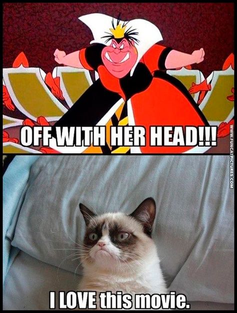 Grumpy Cat Disney, Grump Cat, Grumpy Cat Meme, Grumpy Cat Quotes, Princess Funny, Humor Disney, Disney Princess Funny, Cat Jokes, Funny Cartoons Jokes