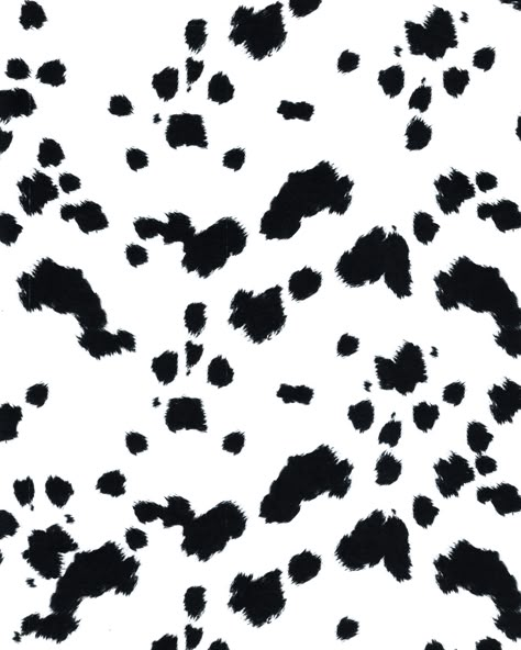 Big Dalmatian, Dalmation Print, Dalmatian Pattern, Animal Print Background, Contemporary Traditional, Animal Print Wallpaper, Dalmatian Print, Iphone Prints, Print Wallpaper