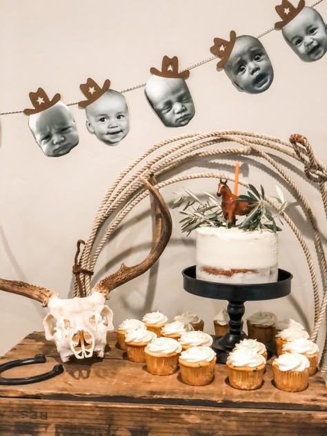 1st Rodeo Birthday Cupcakes, Simple Western Cakes Birthday, My Second Rodeo Birthday Boy, One Year Old Western Birthday, 1st Rodeo Birthday Theme, First Rodeo High Chair Banner, Rowdy One Birthday, Twins First Rodeo Birthday, Our Buckaroo Is Turning Two