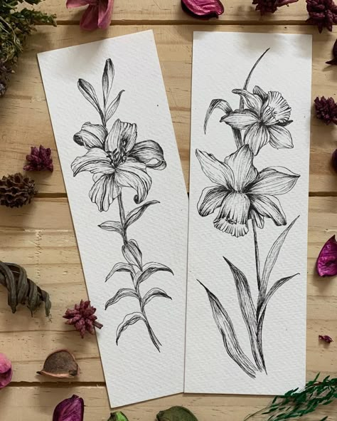 Day Lilies Drawing, Daylily Drawing, Dafodill Flowers Drawing, Daffodil Drawing, Micron Drawing, Lily Drawing, Tiger Lily Tattoos, Sunflower Sketches, Lilies Drawing