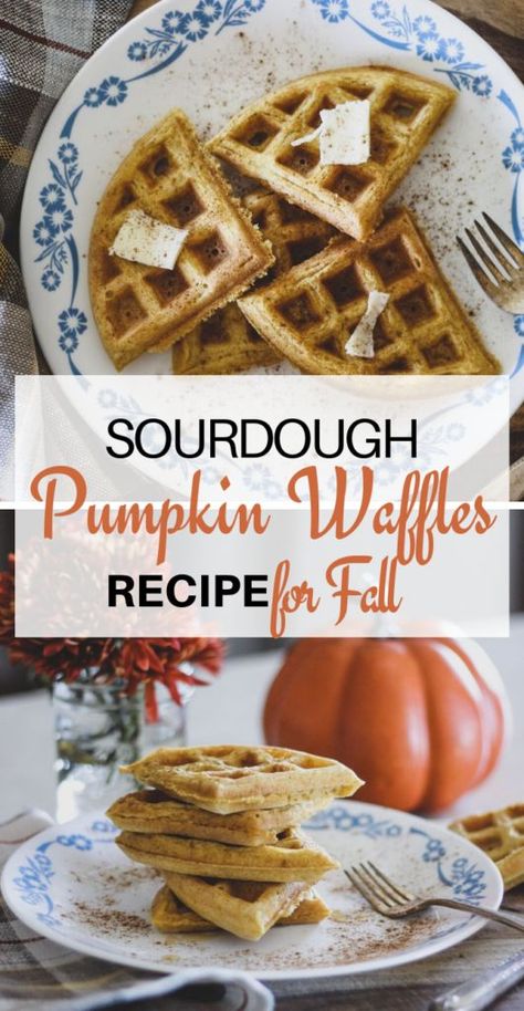 Sourdough Waffles Recipe, Sourdough Waffle Recipe, Pumpkin Sourdough, Pumpkin Waffles Recipe, Sourdough Waffles, Sourdough Pumpkin, Pumpkin Spice Waffles, Recipe For Fall, Pumpkin Breakfast