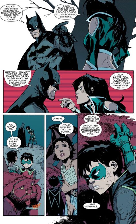 Robin Son Of Batman, Son Of Batman, Talia Al Ghul, I Am Batman, Batman And Catwoman, Batman Funny, Red Robin, Im Batman, Tim Drake