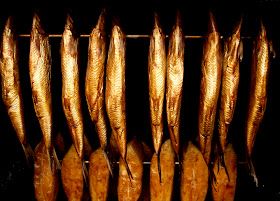 Bacon Salmon, Best Outdoor Grills, Cold Smoker, Smoked Jerky, Basic Brine, Meat Curing, Smoker Plans, Fish Smoker, Smoked Food