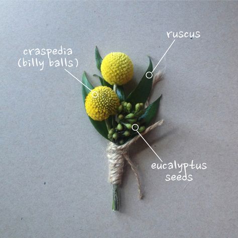 Billy Ball Boutonniere Wedding Flowers Cost, Corsage Ideas, Oxford English Dictionary, Wedding Plants, Blue Thistle, Oxford English, Rustic Boutonniere, Billy Balls, Button Holes Wedding