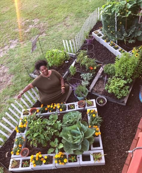 Black Homesteaders, Pink House Plants, Trailing House Plants, Cinder Block Garden, Regenerative Agriculture, Farm Lifestyle, Trailing Plants, Pink House, Cinder Block