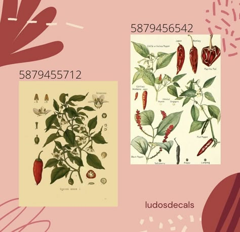 Flower Market Decals Bloxburg, Bloxburg Decals Codes Cottagecore, Cottagecore Decals Bloxburg, Live Laugh Love Bloxburg Decal, Bloxburg Cottagecore Decals, Bloxburg Indie Room Decals, Victorian Paintings Bloxburg Decals, Bloxburg Polaroid Decals, Y2k Decals Bloxburg