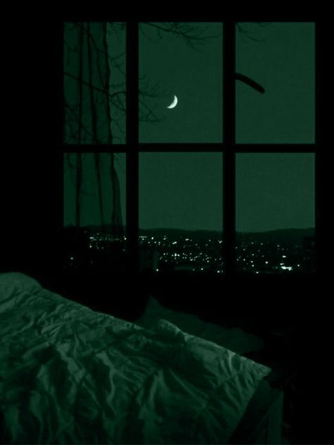 Dark Green Aesthetics, Green Aesthetic Romantic, Dark Emerald Green Aesthetic Bedroom, Vert Emeraude Aesthetic, Deep Forest Green Aesthetic, Deep Green Aesthetic Vintage, Dark Green Photoshoot, Dark Green Asthetics Photos, Fern Green Aesthetic