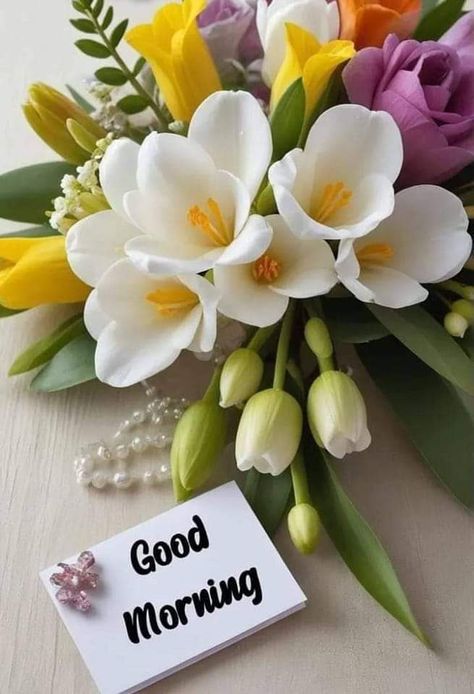 Nice Good Morning Images, Gd Morning, Good Morning Happy Monday, Morning Sweetheart, Good Morning Funny Pictures, Good Morning Coffee Images, Flowers Quotes, Morning Rose, Good Morning Happy Sunday