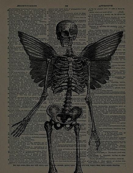 Grunge Posters, Scary Art, Vintage Poster Art, Book Page, Vintage Poster, Skeleton, Poster Art, Pins, Black