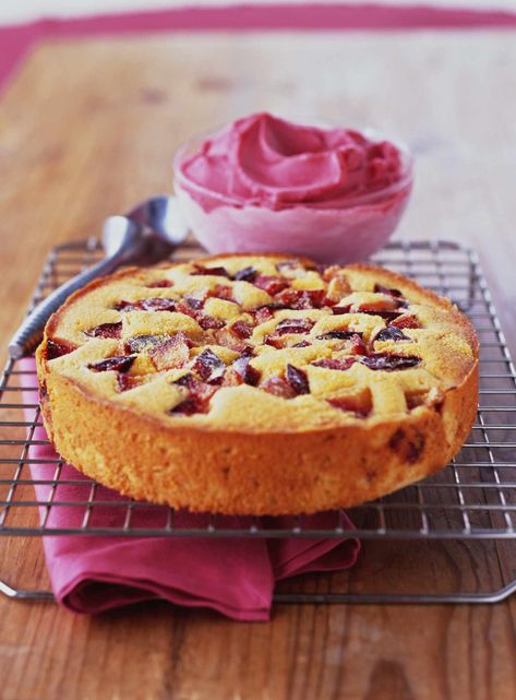 European Dessert Recipes, Plum Cake Recipe, Cornmeal Cake, Plum Recipes, Summer Baking, Canned Fruit, British Baking, Plum Cake, Cake Tasting