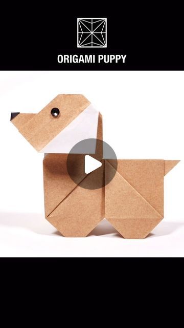 Paper Crafts 1101 on Instagram: "ORIGAMI PUPPY 

Designed by Edwin Corrie
Modified by Paper Crafts 1101

#basteln #paperdog #papierwelpe #papercraft #origami" Puppy Origami, Dog Origami, Origami Dog, Paper Dogs, April 26, Origami, Craft Ideas, Paper Crafts, Puppies