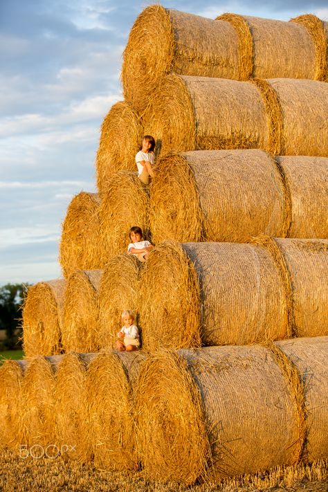 Happy children playing on haystacks summertime by Oscar Romero Oscar Romero, Brochure Design Inspiration, Happy Children, Hay Bales, Children Playing, Gardening For Kids, Happy Kids, Download Pictures, Birds In Flight