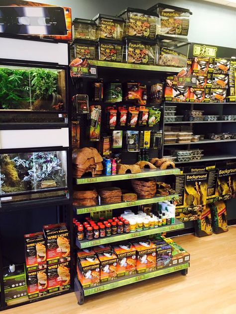 Reptile shop interior Purple Tarantula, Pet Store Display, Reptile Store, Terrarium Shop, Reptile Expo, Reptile Shop, Reptile Zoo, Fish Store, Aquarium Garden