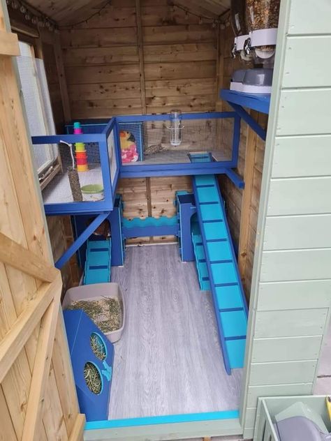 Outdoor Rabbit Enclosure Diy Winter, Bunny Shed Ideas, Guinea Pig Shed Ideas, Rabbit Shed Ideas Outdoor, Rabbit Mansion, Rabbit Shed Ideas, Rabbit Enclosures, Outdoor Rabbit Run, Bunny Sheds