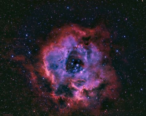 Rosette Nebula HSO (Caldwell 49) Open Star Cluster NCG 2244 ( JOHN QUINN ) - AstroBin Rosette Nebula, Cosmos Space, Star Clusters, Galaxy Images, Star Cluster, Lightning Storm, Physics And Mathematics, Light Pollution, Milky Way Galaxy