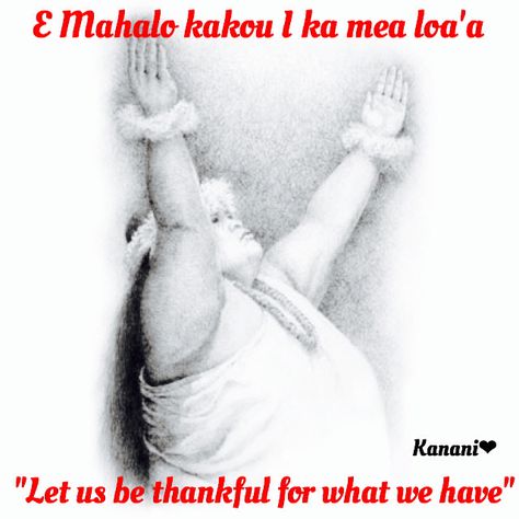 E mahalo kakou i ka mea loa'a (let us be thankful for what we have) - Hawaiian saying Hawaiian Proverbs, Hawaiian Sayings, Hawaiian Words And Meanings, Hawaii Foods, Hawaii Quotes, Hawaiian Phrases, Hawaiian Quotes, Hawaii Living, Hawaii Lifestyle