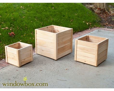 While it’s great to have colorful flowers or tasty fruits and veggies growing in the garden, sometimes we like to plant them somewhere else. Don’t just settle for boring, ordinary planters; have some fun and give your plants an awesome home with these planter... #diy #diyplanters #diyprojects Wood Pots For Plants, Deck Planter Boxes, Wooden Flower Boxes, Deck Planters, Cedar Deck, Pots For Plants, Planter Project, Cedar Planters, Wooden Patios