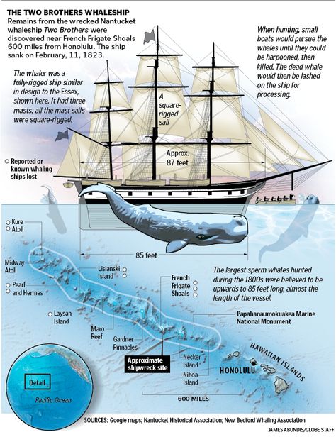 The Two Brothers Whaling Ship graphic documents the recent discovery of this whaling vessel. The visual has multiple purposes: show what it looked like, locate where the shipwreck was found, document what it did, and how it did it. I've drawn a lot of ships here. This was a daily assignment that turned out well. Whaling Ship, Buffalo City, Deep Sea Diving, Save The Whales, Sea Captain, Wooden Ship, Two Brothers, Tall Ships, Sea Birds