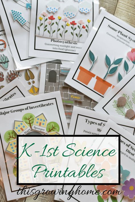 Science Printables 2nd Grade Worksheets Free Printables Science, Free Printable Science Worksheets, Second Grade Science Worksheets, Cc Cycle 3 Science, Middle School Education, Botany Science, Classical Conversations Cycle 3 Science, Science Middle School, Biology Games