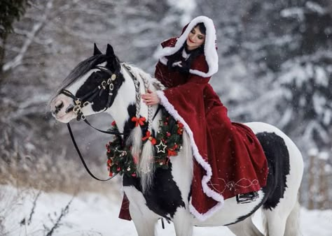 Horse In Christmas Parade, Winter Equestrian Photoshoot, Cowgirl Christmas Photoshoot, Christmas Pony Photoshoot, Horse Christmas Photoshoot, Horse Christmas Costume, Horse Christmas Pictures, Christmas Horse Photoshoot, Winter Horse Photoshoot