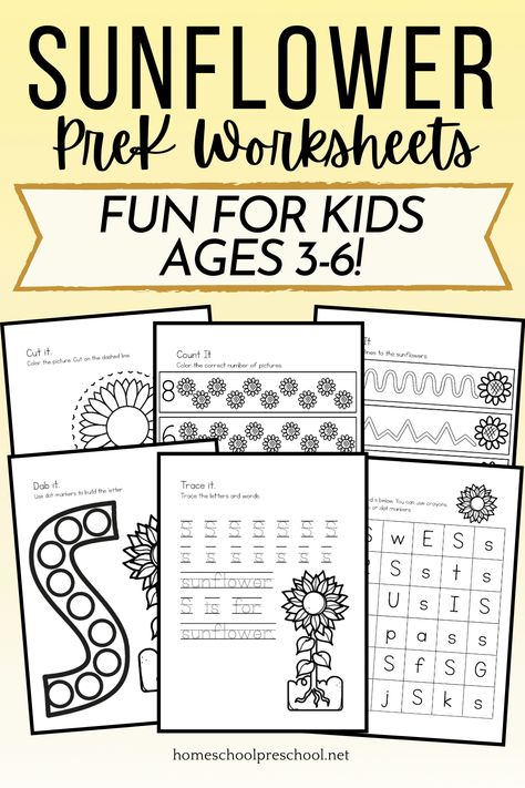 Looking for flower themed preschool printables? These engaging S is for Sunflower printables are perfect for ages 3-6! Sunflower Activities For Preschool, Inhome Daycare, July Themes, Homeschool Themes, Sunflower Life Cycle, Sunflowers And Bees, Sunflower Printable, Home Printables, Pre K Teacher