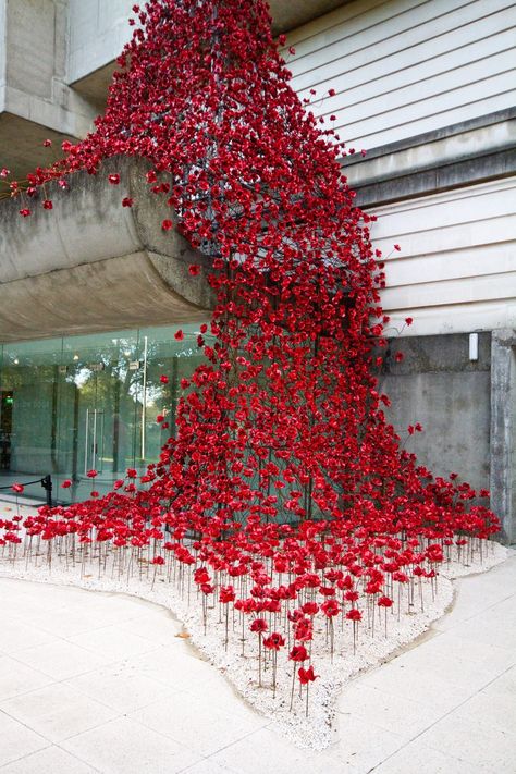 Red Floral Installation, Floral Sculpture, Paper Flower Wall Wedding, Jeff Leatham, Chinese New Year Decorations, Flower Installation, Wedding Stage Decorations, Paper Flower Wall, Backdrop Design