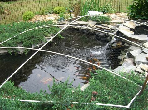 diy pond cover Diy Pond Pool, Pond Covers, Pond Netting, Backyard Aquaponics, Building A Pond, Goldfish Pond, Diy Pond, Fountains Backyard, Pond Waterfall