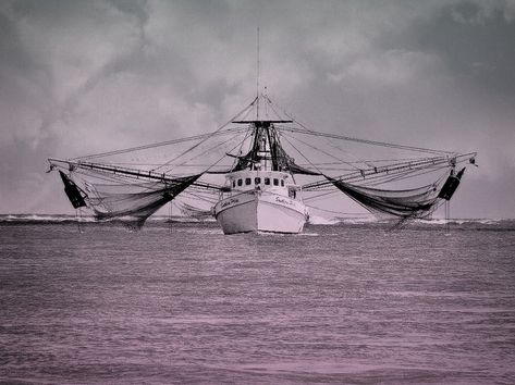 Smallest House, Painting Boats, Shrimp Boats, Boat Tattoo, Fishing Boats For Sale, Louisiana Travel, Fishing Backpack, Shrimp Boat, Boat Drawing