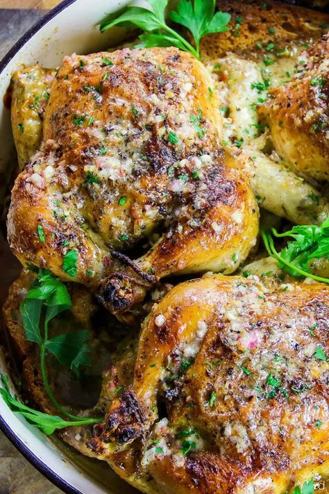 Best Roast Chicken Recipe, Roasted Cornish Hen, Million Dollar Chicken, Cornish Hens, Good Roasts, Roast Chicken Recipes, Herbs De Provence, Million Dollar, Roasted Chicken