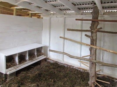 Tree Chicken Coop, Homemade Wood Stains, Portable Chicken Coop, Amish Farm, Coop Design, Best Chicken Coop, Coop Plans, Building A Chicken Coop, Chicken Coop Plans