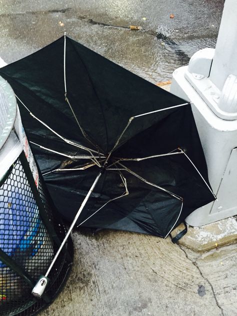 Spider Web Umbrella, Creepy Umbrella, Weird Umbrella, Broken Umbrella, 1800s Umbrella, Gothic Umbrella, Retail Space, Less Is More, Spider Web