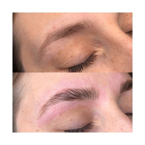 Eyebrow laminating, styling, waxing & tinting Tint And Wax Eyebrows, Eyebrow Waxing And Tinting, Waxed And Tinted Eyebrows, Eye Brow Wax And Tint, Brow Wax Aftercare, Eyebrows, Nose Ring