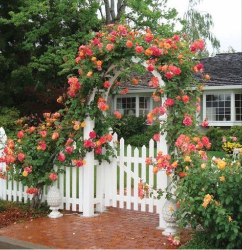 Front Yard Arbor, Cottage Front Yard, Arbor Design, Front Yards Curb Appeal, Picket Fences, Small Front Yard, Yard Fence, Front Yard Design, Front Yard Fence