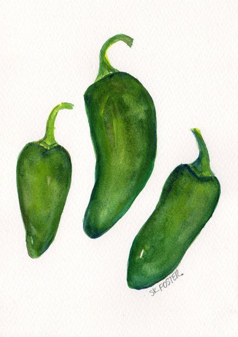 Jalapeno Peppers Jalapeno Illustration, Jalapeno Drawing, Peppers Illustration, Pepper Watercolor, Illustration Food Art, Vegetables Watercolor, Jalapeño Peppers, Veggie Art, Jalapeno Peppers