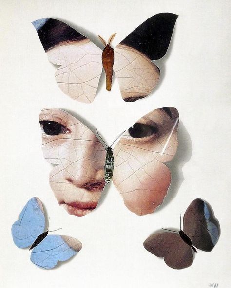 TheCollageEmpire on Instagram: “Jiří Kolář #jirikolar #thecollageempire…” Jiri Kolar, Frida Art, Bohol, Back To Nature, Butterfly Art, Drive In, Media Art, Altered Art, Assemblage