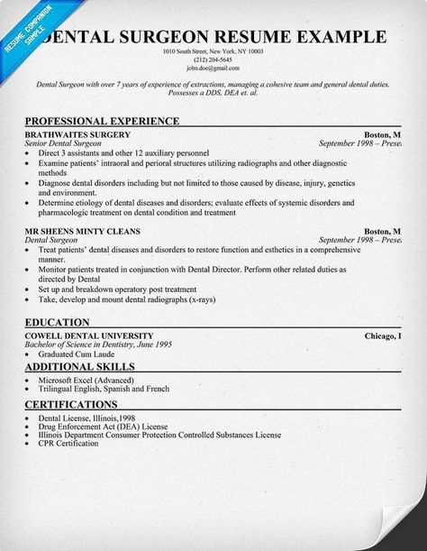 Dental assistant Job Description for Resume Comfortable Dental Surgeon Resume Sample Dentist Health Of 33 Very Good Dental assistant Job Description for Resume Model Oberen Dental assistant Job Description for Resume tori Terral Dental assistant Resume 4 166 Best Resume Templates and Cv Reference Images On Sample Dentist Resume Resume Ideas . Check more at https://howtobackup.net/dental-assistant-job-description-for-resume/ Personal Statement Grad School, Dental Assistant Resume, Medical Assistant Job Description, Dentist Resume, Perfect Resume Example, Dental Receptionist, Registered Nurse Resume, Receptionist Jobs, Write A Resume