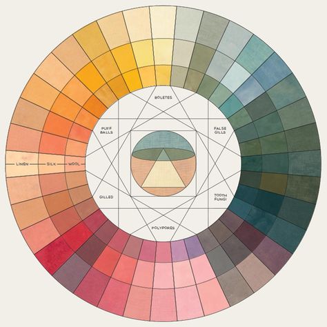 Color Wheel Illustration, Colour Theory Wheel, Mushroom Color Palette, Cmyk Art, Poster Mushroom, Mushroom Color, Analogous Color Scheme, Color Design Inspiration, Coloring Journal