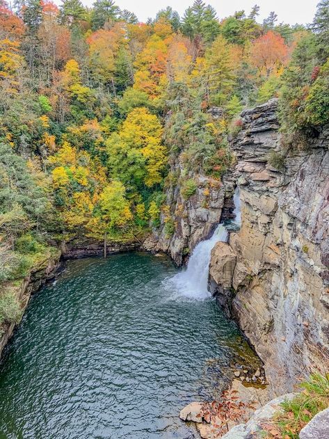 Waterfalls In North Carolina, Chimney Rock State Park, North Carolina Attractions, Kentucky Travel, Tennessee Travel, Pisgah National Forest, Bridal Veil Falls, Chasing Waterfalls, Rainbow Falls