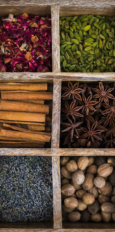 Spice Store | The Spice Merchant | Calgary Spices Aesthetic, Spice Photography, Traveling Merchant, Spice Store, Nuts Packaging, Tower Of Dawn, Spices Photography, Plant Spirit, Shop Business Ideas