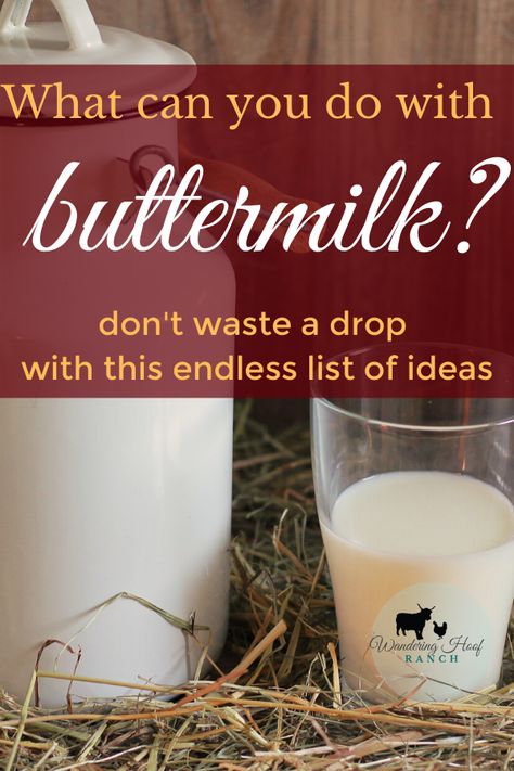 How To Make Butter From Buttermilk, What Do You Use Buttermilk For, Keto Recipes With Buttermilk, Fresh Buttermilk Recipes, Dessert Recipe With Buttermilk, How To Use Up Buttermilk, Things To Do With Buttermilk, How To Use Buttermilk, Baking With Buttermilk Recipes