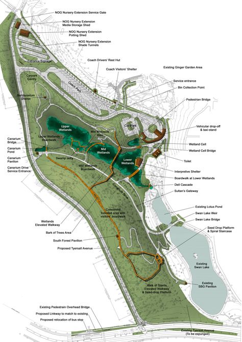 Learning Forest at Singapore Botanic Gardens — Stephen Caffyn Landscape Design Wetland Park Masterplan, Landscape Design Masterplan, Forest Landscape Design, Masterplan Design, Singapore Landscape, Forest Project, Landscape Architecture Plan, Singapore Botanic Gardens, Wetland Park